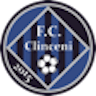 Icon: FC Academica Clinceni