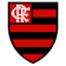 Icon: CR Flamengo RJ