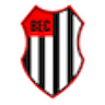 Icon: Bandeirante EC SP