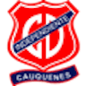 Icon: Independiente