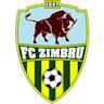 Logo: FC Zimbru Chisinau