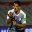 Preview image for Ecuador vs Uruguay- World Cup Qualifiers Watch Live Online Info, Preview