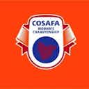 Preview image for COSAFA Cup: Malawi claim historic title with win over Zambia