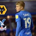 Preview image for Crystal Palace and Wolves join transfer battle for Birmingham City player