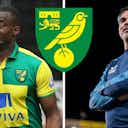 Preview image for “A very unfair game” - Seb Bassong issues verdict on David Wagner’s future at Norwich City