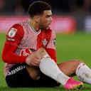 Preview image for 5 Che Adams replacements Southampton FC must consider as Leeds, Wolves development emerges