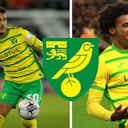 Preview image for Norwich City: If nothing happens, these 6 players will leave Carrow Road
