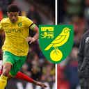 Preview image for Norwich City will make serious money on £10m Gabriel Sara investment: View