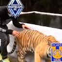 Imagem de visualização para Em vídeo nas redes sociais, Vancouver Whitecaps “tira onda” com Tigres; times se enfrentam nesta sexta-feira (4)