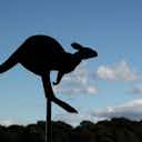 Image d'aperçu pour Un match interrompu par... des kangourous 🤣