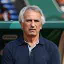 Preview image for Vahid Halilhodzic could leave Morocco job despite World Cup qualification