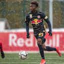 Preview image for Dorgeles Nene goes on loan to SV Ried