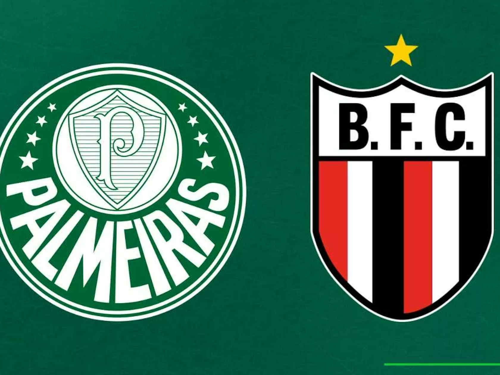 JOGO DE COPA! Confira onde assistir a estreia do Palmeiras na Copa do Brasil!