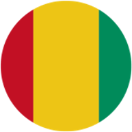 Logo : Guinée