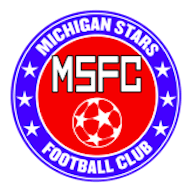 Logo: Michigan Stars