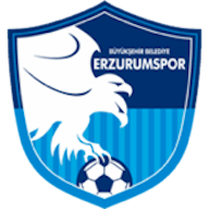 Logo : Erzurumspor