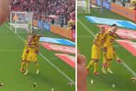Preview image for Jude Bellingham's epic beer catch after Erling Haaland's penalty for Dortmund