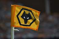 Preview image for Wolves: £46k-a-week star now 'weighing up options' at Molineux