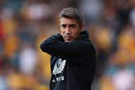 Preview image for Wolves: £20m boss now 'obvious' contender to replace Lage at Molineux