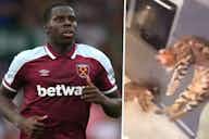 Preview image for Kurt Zouma pleads guilty over cat video incident and charged with two offences