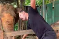 Preview image for (Video) John Achterberg has his family in hysterics as he feeds elephants on family holiday