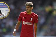 Preview image for Ex-Premier League defender laughably highlights Luis Diaz as the reason Liverpool will miss out on the top four this season