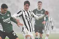 Preview image for Fiorentina president Commisso slams Juventus striker Vlahovic and his agents