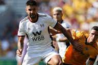 Preview image for Fulham striker Mitrovic: What I am learning from Haaland...
