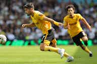 Preview image for Wolves vs Fulham: How to watch on TV live stream, kick-off time, team news & predictions