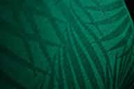 Imagem de visualização para Nova camisa do Palmeiras tem detalhe simbólico