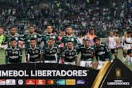 Imagem de visualização para Palmeiras bate mais um recorde e entra de vez na história da Libertadores