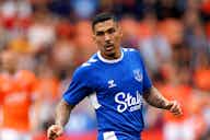 Preview image for Everton confirm departure of Allan to Al Wahda for undisclosed fee