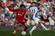 Preview image for Liverpool vs Brighton & Hove Albion LIVE: Premier League result, final score and reaction
